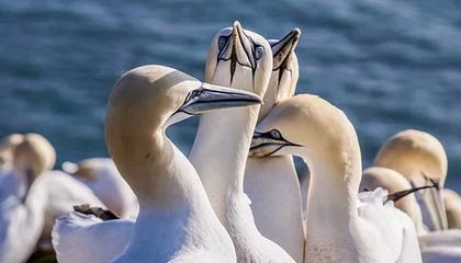 彩经网官网开奖-im电竞官网——打造极致电竞体验的新选择